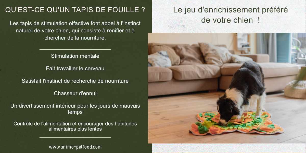 tapis-de-fouille-un-jeu-intellectuel-pour-les-chiens